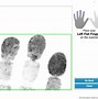 Image result for Fingerprint Database Software