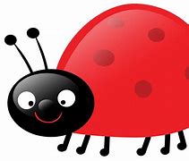 Image result for A Ladybug Cartoon