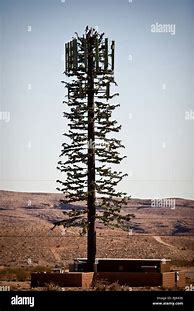 Image result for Pine Tree Cell Tower