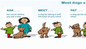 Image result for Pets Trying to Get Away From Kids