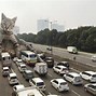 Image result for Giant Cat Meme