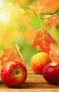 Image result for Apples in Autumn Leaves