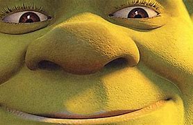 Image result for Shrek Meme Background