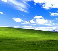 Image result for Windows XP Green Wallpaper