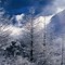 Image result for 1280X1024 Winter Wallpaper
