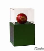 Image result for Live Cricket Display Cases