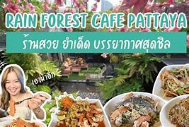 Image result for Rain Forest Bangkok Restaurant