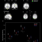 Image result for sci�n