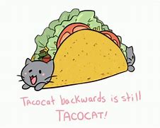 Image result for Taco Cat Meme