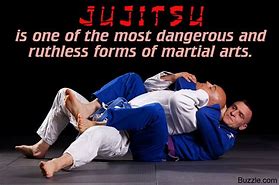 Image result for Jujutsu Martial Art