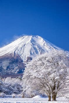 NATHALIE BODINO on LinkedIn: la merveilleuse montagne sacrée du Japon