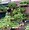 Image result for 1000 Square Meter Garden