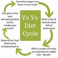 Image result for Yo Yo Diet