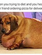Image result for healthy dogs meme 2023