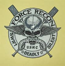 Image result for Marine Force Recon Emblem