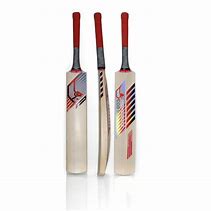 Image result for Mongoose Bat