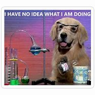 Image result for Chem Dog Meme
