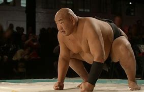 Image result for Fat Sumo Wrestling Trmop
