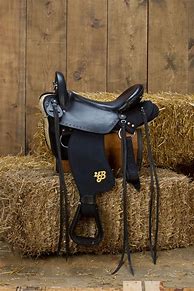 Image result for Gaited Horses Sized
