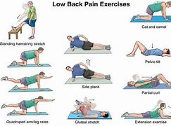Image result for Chiropractic Exercises for Lower Back Pain