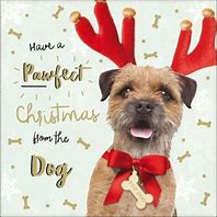 Image result for Funny Dog Merry Christmas Cards