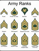 Image result for Us Military Insignia