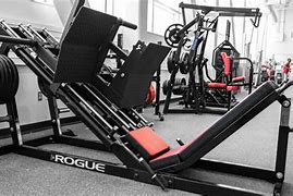 Image result for Rogue Fitness Exercises
