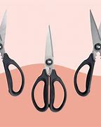 Image result for Best Kitchen Shears