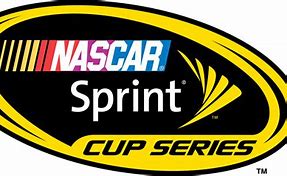 Image result for NASCAR Racing Series Logo
