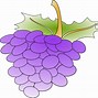 Image result for Free Picture of Grapes On Vine