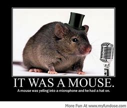 Image result for Funny Mouse Memes