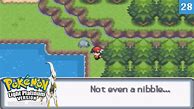 Image result for Nibble Pokemon