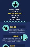 Image result for How Long Does Marijuana Stay in Your System for Drug Tests