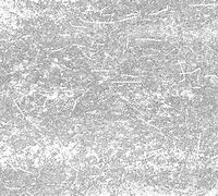 Image result for Film Grain Line Texture
