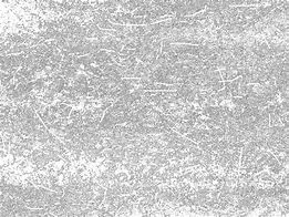 Image result for Film Grain Effect Transparent Overlay