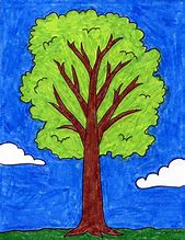 Image result for A Tree Drawing