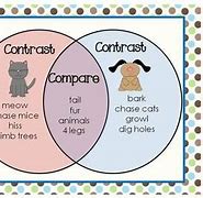 Image result for Compare and Contrast Poster