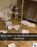 Image result for My Dog Ate the Documents Meme