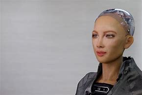 Image result for Life Like Robots in China