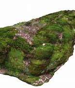 Image result for Rock Moss 3D