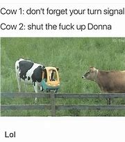 Image result for Turn Signal Meme