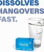 Image result for Blowfish Hangover