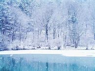 Image result for Winter Wonderland iPhone Screensaver