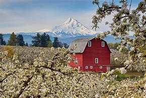 Image result for Apple Orchard Barn