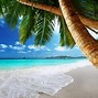 Image result for Beautiful Summer Beach Scene