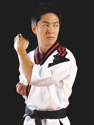 Image result for Martial Arts Pictures