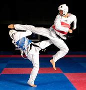Image result for Martial Arts Karate Taekwondo