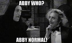 Image result for Abby Normal Meme