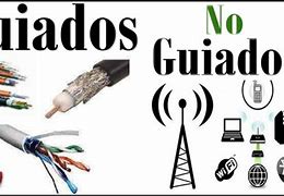 Image result for guiaco