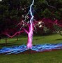 Image result for Lightning Striking a Tree